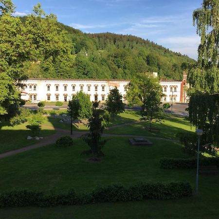 Apartman Stare Casy Svoboda nad Upou Bagian luar foto